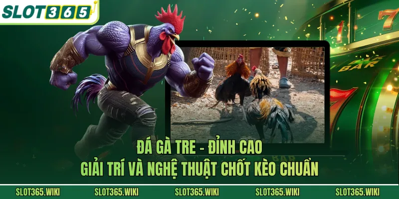 Đá Gà Tre - Đỉnh Cao Giải Trí Và Nghệ Thuật Chốt Kèo Chuẩn